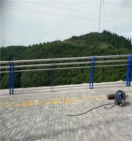 ���P䓏�(f��)�Ϲ��o(h��)��